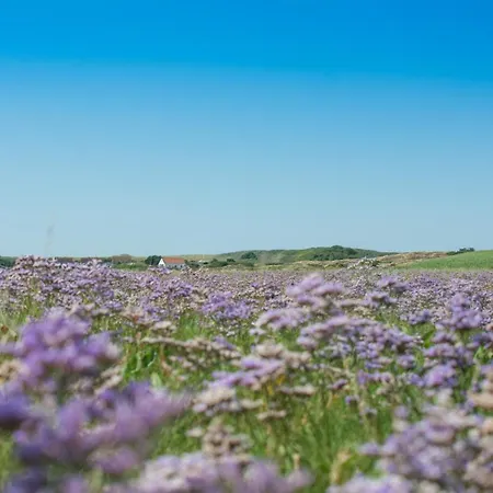 Apartament Duenenklause Duene 3 *