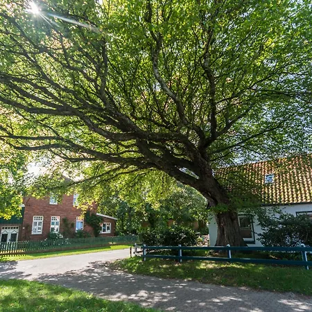 Apartament Duenenklause Duene 3